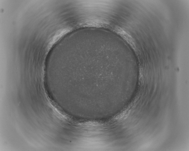 X0000088590578200706151738