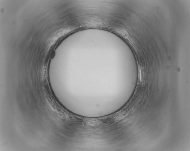 X0000088590579200706151738