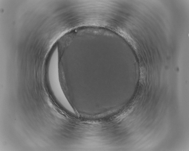 X0000088590580200706151738