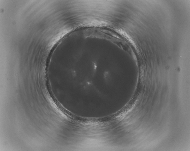 X0000088590581200706151738