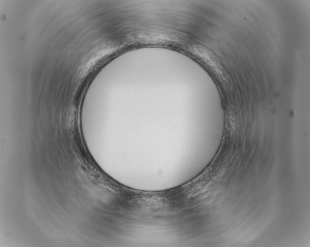 X0000088590583200706151738