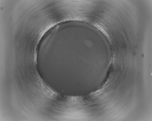 X0000088590584200706151738