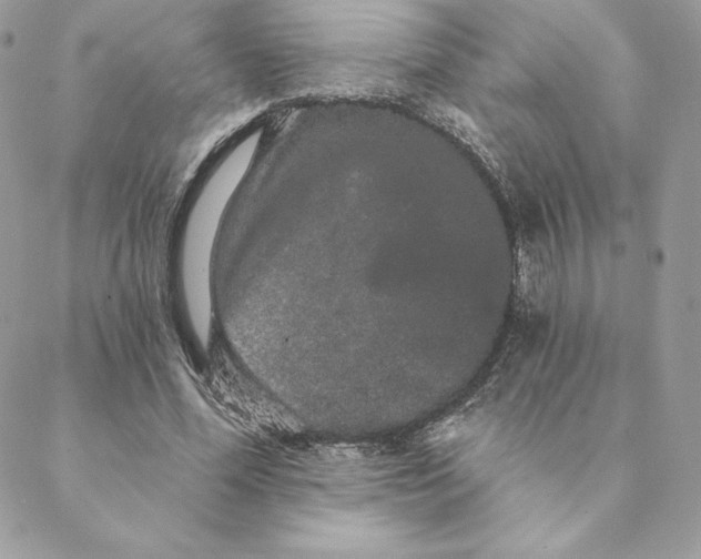 X0000088590588200706151738