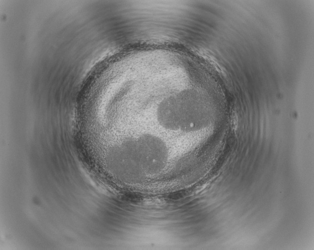 X0000088590591200706151738