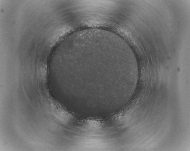 X0000088590592200706151738