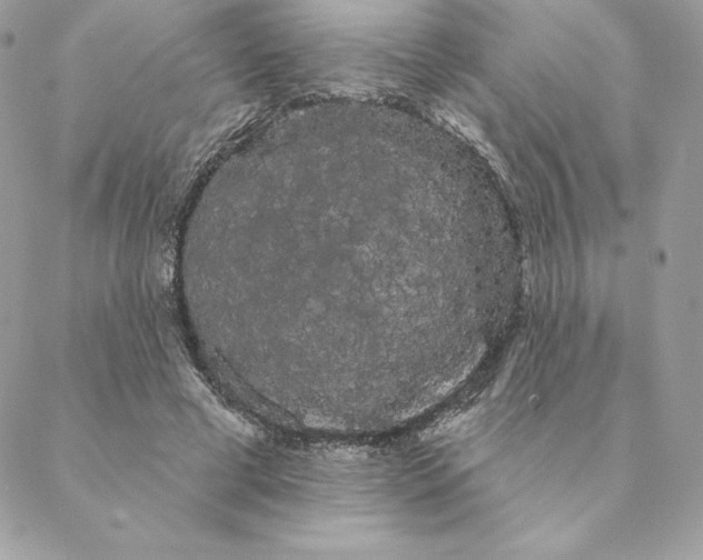 X0000088590593200706151738