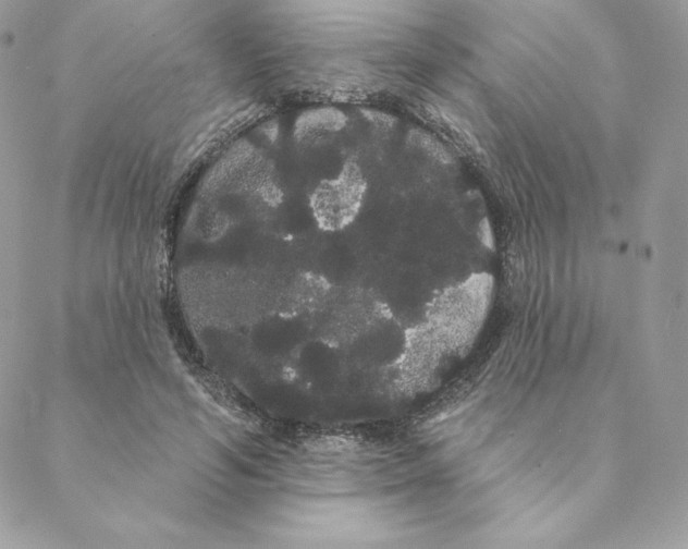 X0000088590594200706151738