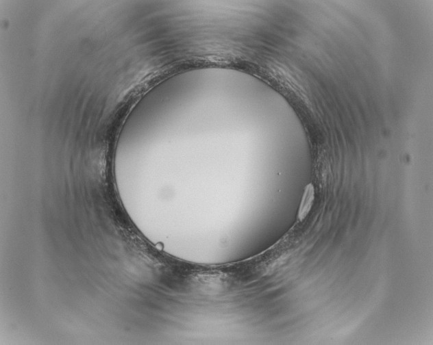 X0000088590595200706151738