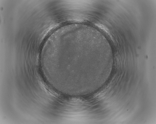 X0000088590596200706151738