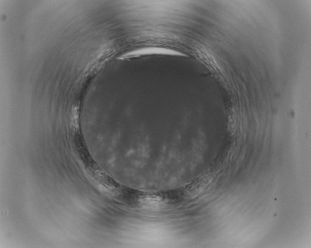 X0000088590598200706151738