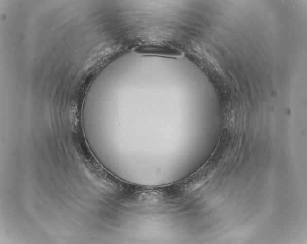 X0000088590599200706151738