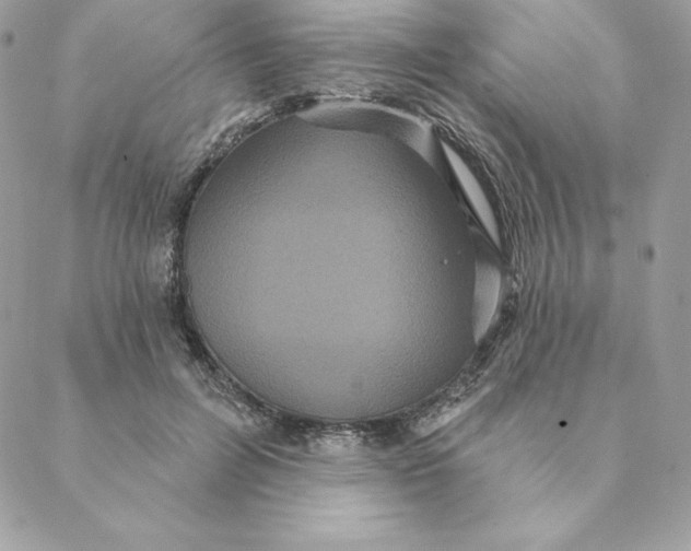 X0000088590600200706151738