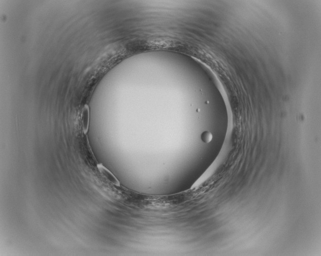 X0000088590601200706151738