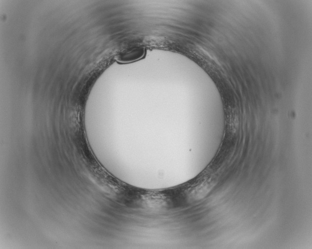 X0000088590603200706151738