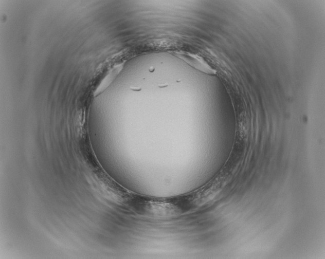 X0000088590605200706151738