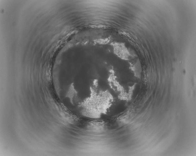 X0000088590606200706151738