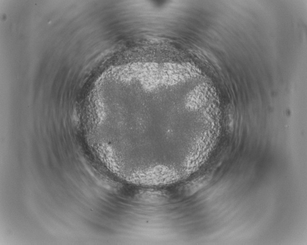 X0000088590607200706151738