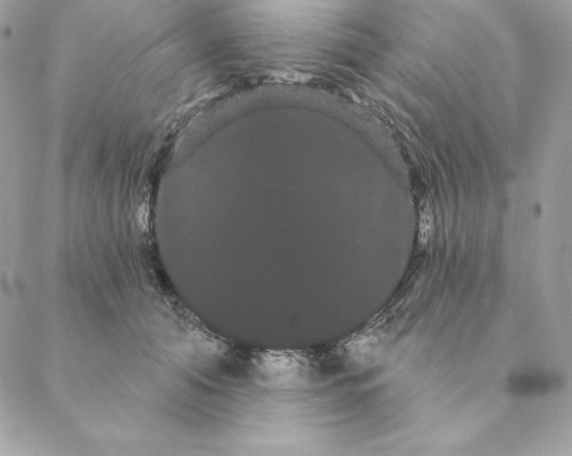 X0000088590608200706151738