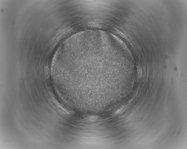 X0000088590609200706151738