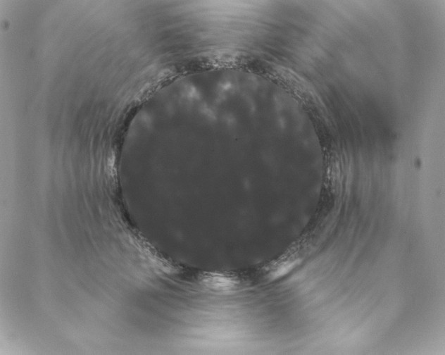 X0000088590610200706151738