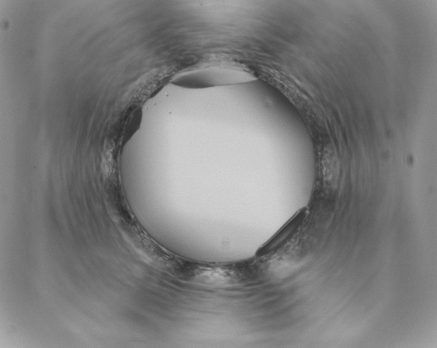 X0000088590611200706151738