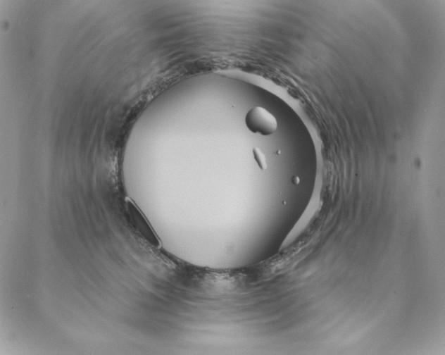 X0000088590613200706151738