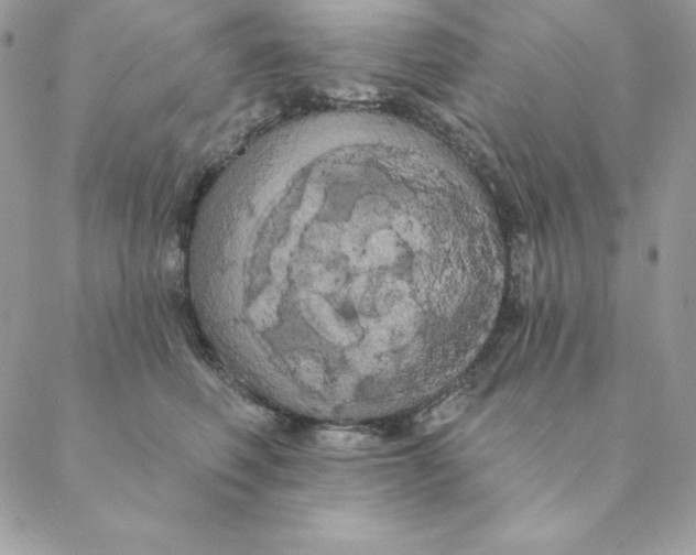 X0000088590614200706151738