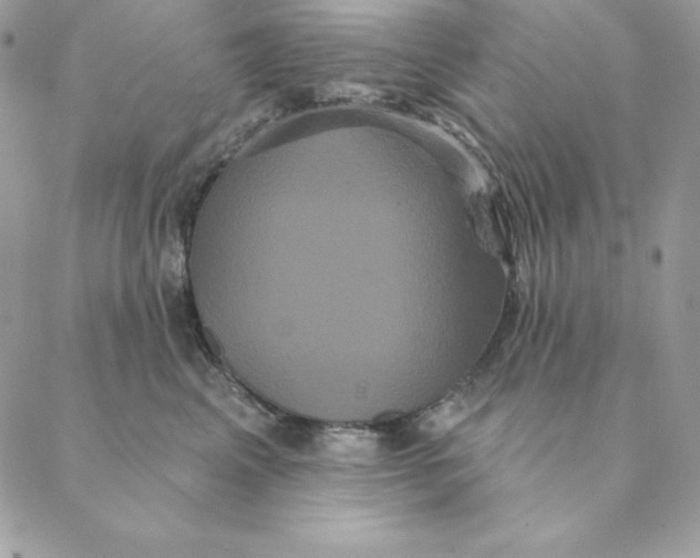 X0000088590617200706151738