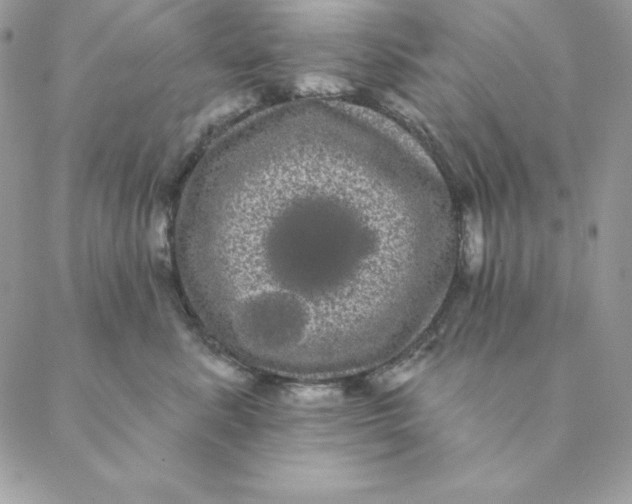 X0000088590619200706151738