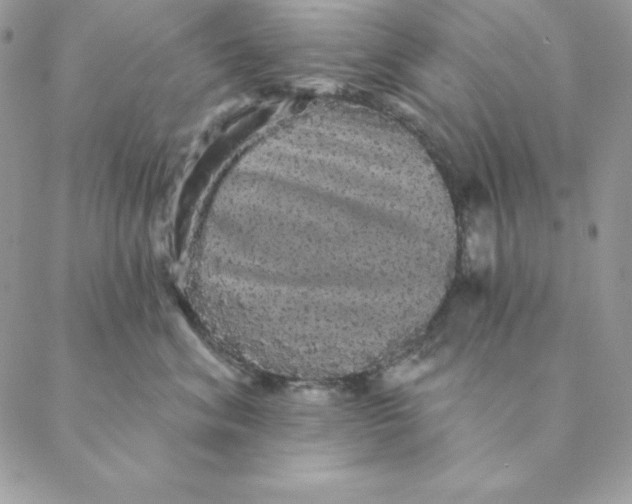 X0000088590620200706151738