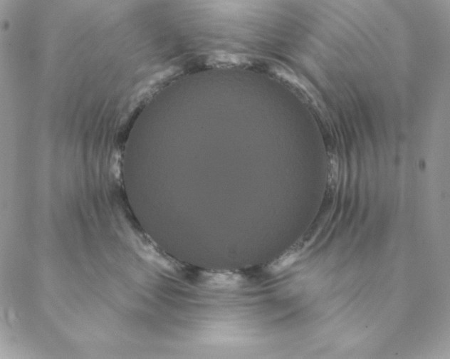 X0000088590621200706151738