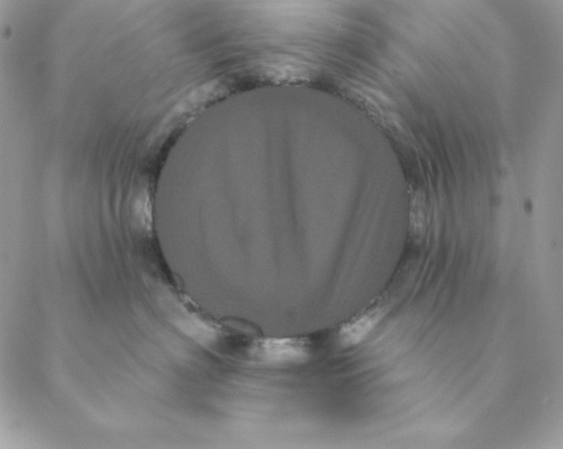 X0000088590622200706151738