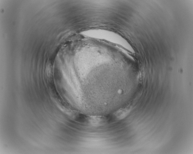 X0000088590623200706151738