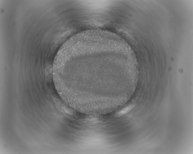 X0000088590624200706151738