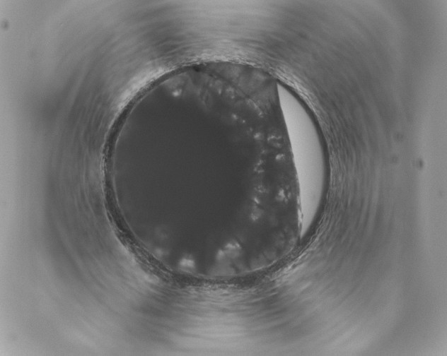 X0000088590626200706151737