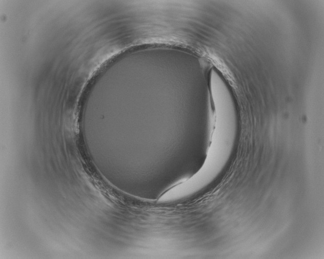 X0000088590628200706151737