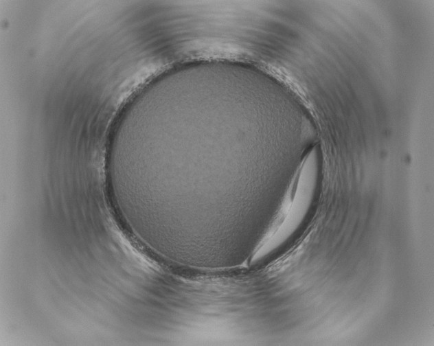 X0000088590629200706151737