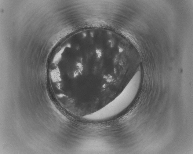 X0000088590630200706151737