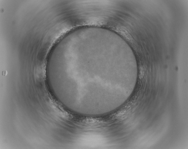 X0000088590632200706151737