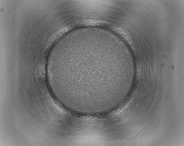 X0000088590633200706151737