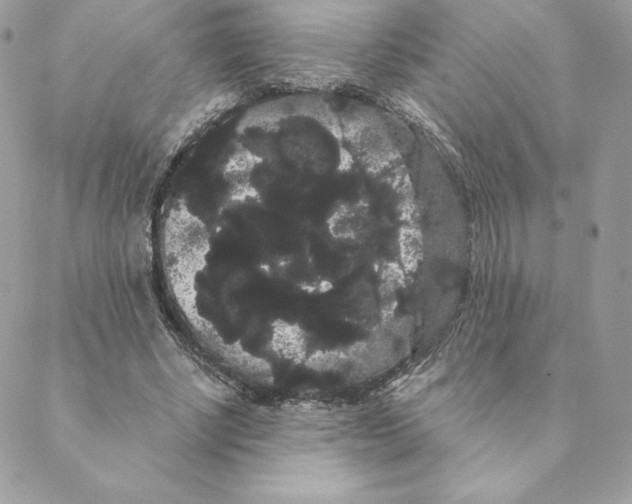 X0000088590634200706151737