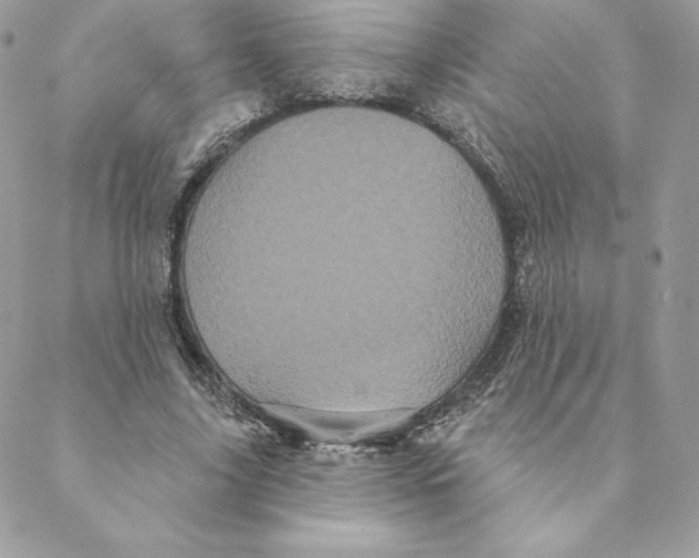 X0000088590635200706151737