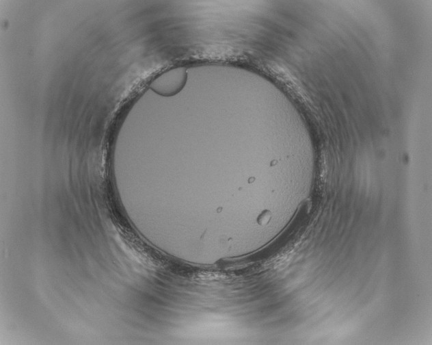 X0000088590636200706151737