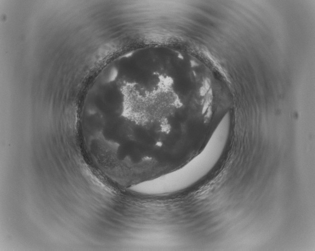 X0000088590637200706151737