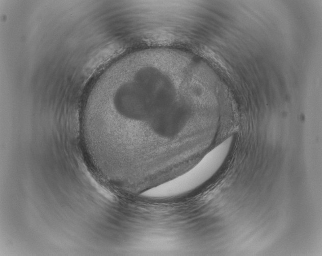 X0000088590638200706151737