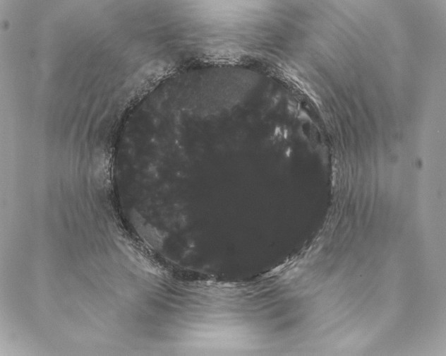 X0000088590641200706151737