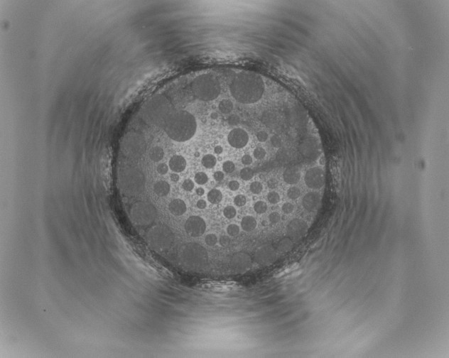 X0000088590642200706151737