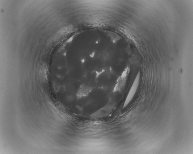 X0000088590643200706151737