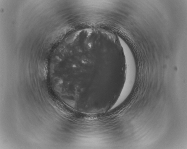 X0000088590644200706151737