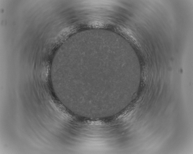 X0000088590645200706151737